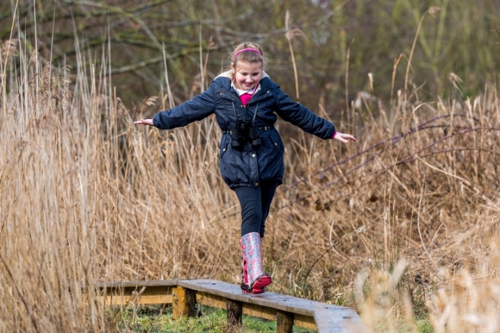 A young girl walking on a platform at WWT Martin Mere's wild walk